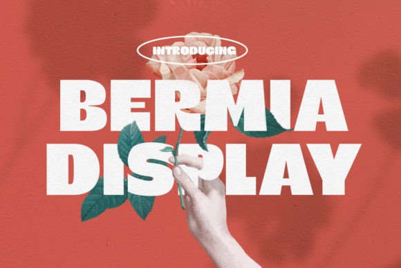 Bermia: A Bold, Elegant Display Font for Digital Brands