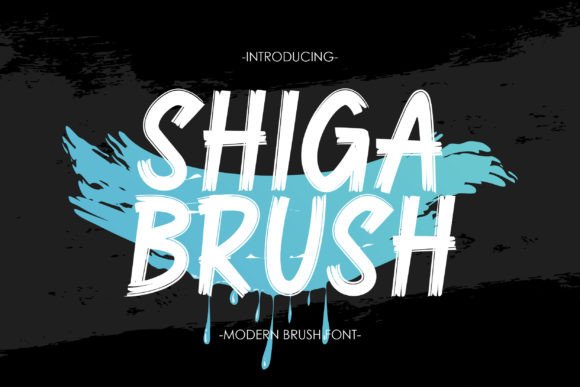 Shiga Brush: A Display Font That Speaks with Warmth and Clarity